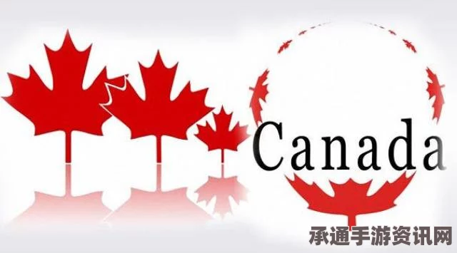 加拿大男童因禁飞黑名单引发关注，家庭寻求公正，探寻解决之路