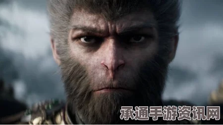 江南百景图，黄猫记探险攻略及活动详解