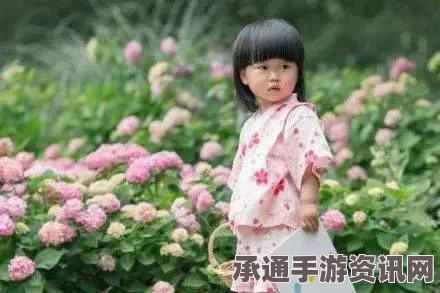 射雕绣球八仙攻略大全，技巧方法、问答环节全解析