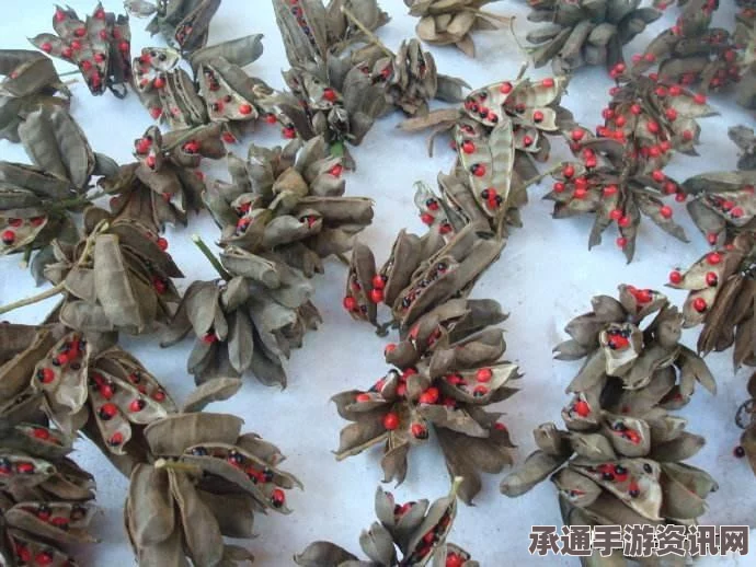 射雕英雄传手游，玲珑烛获取攻略与实用技巧方法解析