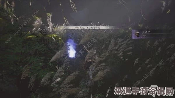 黑神话悟空，吸取灵魂技巧详解与问题解决攻略
