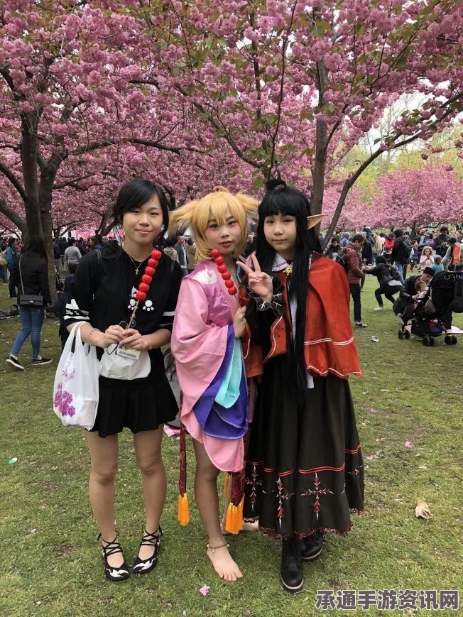阴阳师3.16版本更新解析，樱花祭福利活动攻略及技巧方法探讨