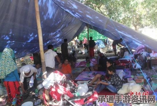 印度遭遇强震灾害，最新消息及应对技巧