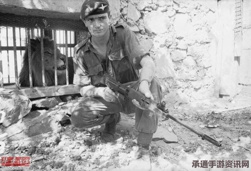 也门首都亚丁激战，政府实施宵禁，事件背景与应对技巧方法