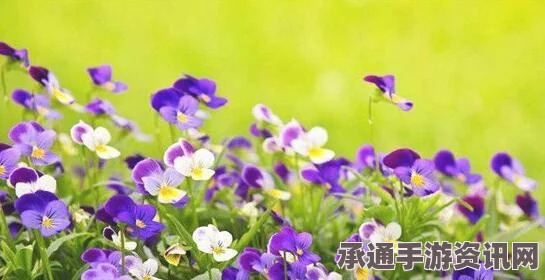 深度解析奇迹暖暖花语誓约顶配搭配技巧与套装选择策略，全方位探讨搭配方法与技巧