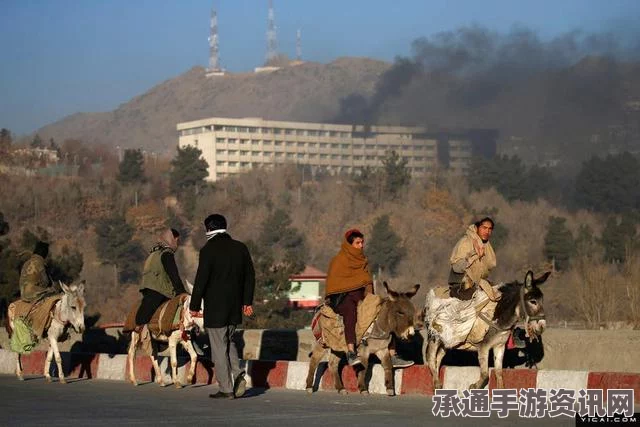 阿富汗首都法国餐厅遭袭事件，深度解析与反思