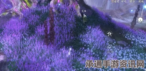 逆水寒手游永夜星都神域材料刷新位置详解及技巧方法
