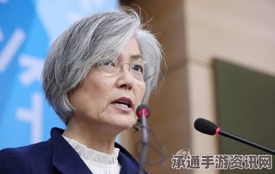 韩外长强调，韩日慰安妇问题协议不可任意解读 解读其背后的技巧与方法