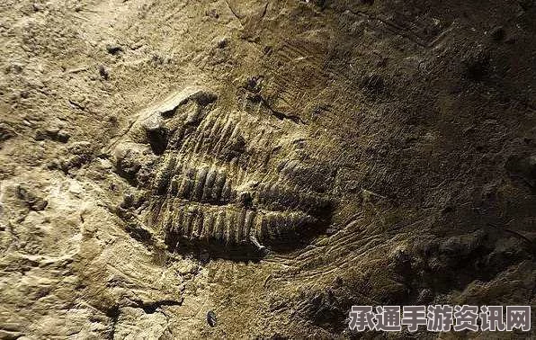 揭秘史前微生物化石，探寻地球早期环境与生命起源的奥秘