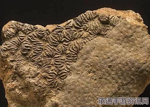 揭秘史前微生物化石，揭示地球早期环境与生命起源的奥秘