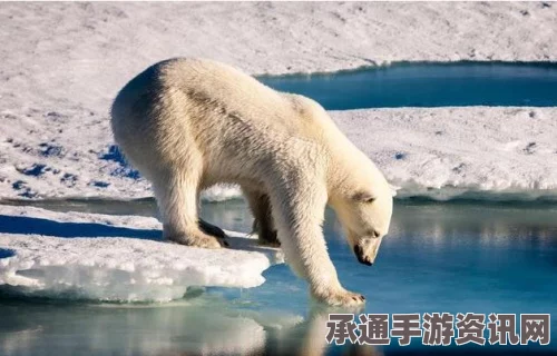 北极温度异常升高，温室效应下的挑战与应对技巧方法