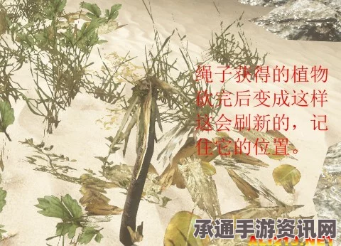 射雕英雄传琼岛春阴成就攻略，全方位技巧方法与达成指南