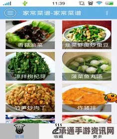 星之海清凉港小镇包烧食谱大全，获取指南与实用技巧分享