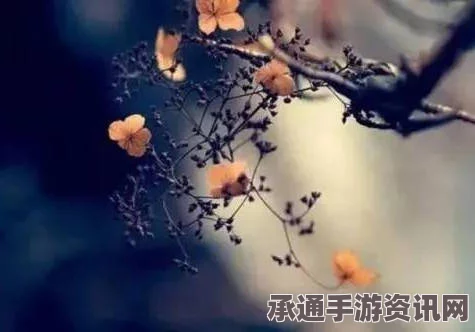 射雕吟咏蓟门烟树，攻略详解与技巧分享
