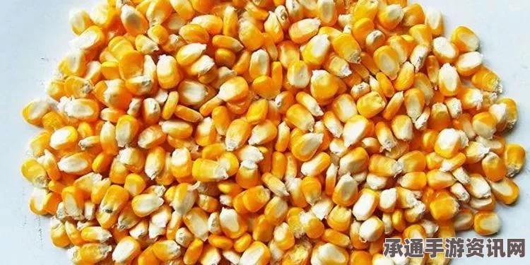 七日杀中的玉米穗，用途、技巧与方法解析