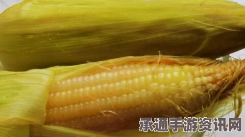 七日杀中的玉米穗，用途、技巧与方法解析