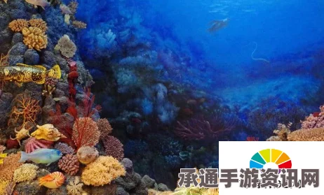 星之海珊瑚珊瑚瀑布的彩虹海螺6获取攻略及技巧详解