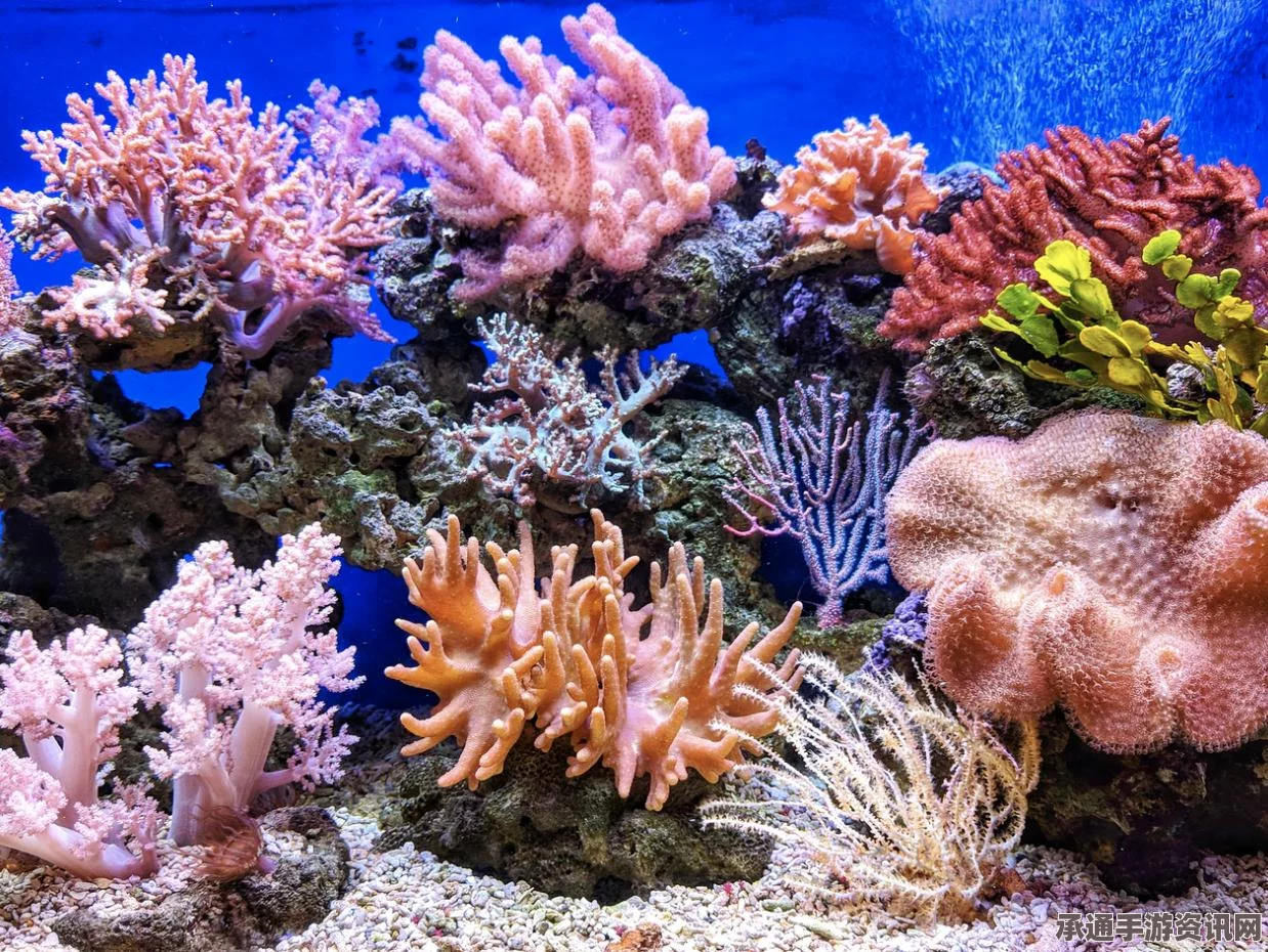 星之海珊瑚瀑布下的月亮摇篮，鱼派捕捉策略与技巧全解析