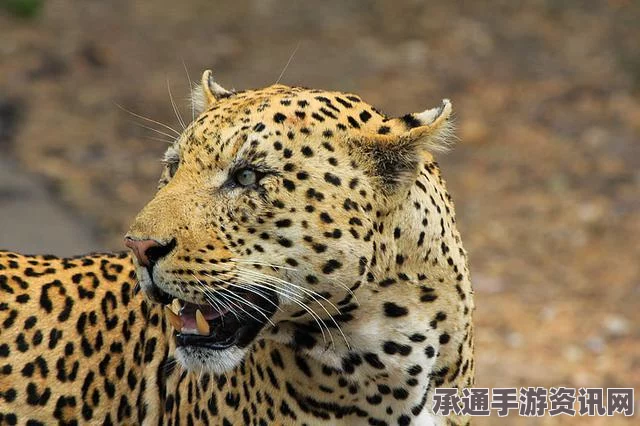印度女婴火车厕所奇迹生还事件，探寻应对突发状况的技巧方法