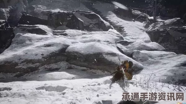 黑神话悟空，耐雪枝获取攻略与技巧深度解析