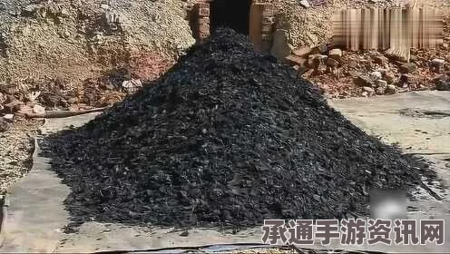 速速上菜，木炭工厂制作技巧详解