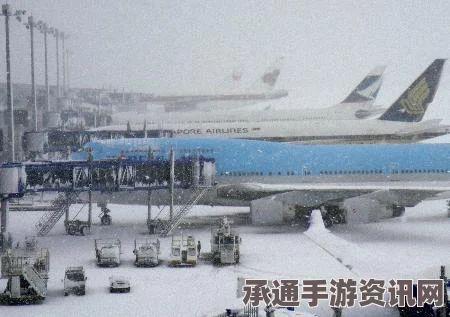 伊斯坦布尔大雪致航班大规模取消，应对方法与技巧探讨