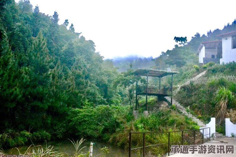 黑神话，悟空白狐毫获取视频及技巧方法详解