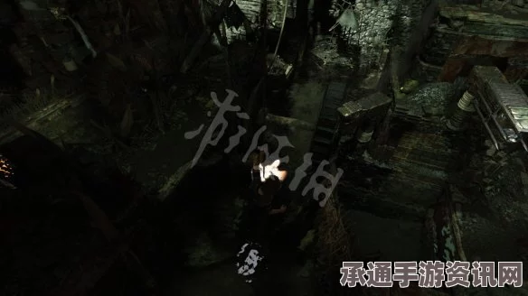 古墓丽影，暗影全剧情流程攻略及达成全收集与百分百完成度技巧方法