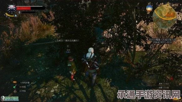 巫师3，狂猎图文攻略大全——技巧详解与攻略汇总