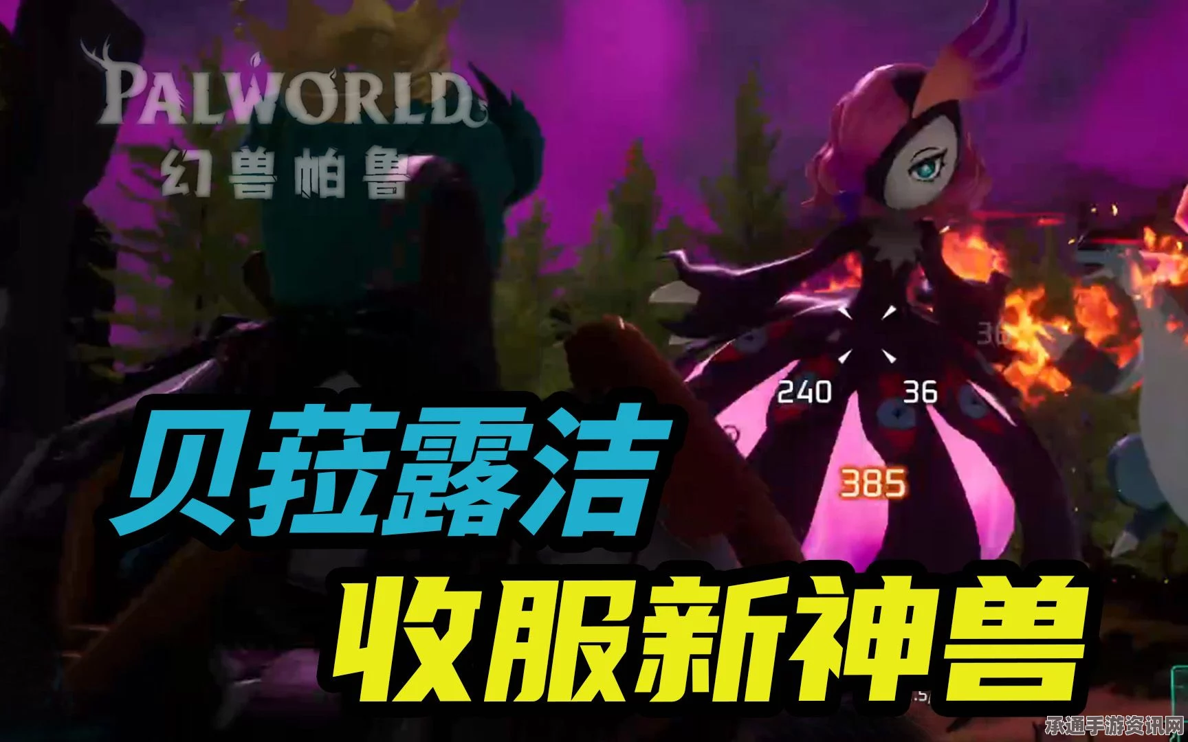 幻兽帕鲁贝菈露洁攻略，实战技巧与打法解析