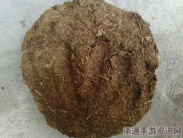 印度牛粪饼热销，独特的文化现象与创业智慧