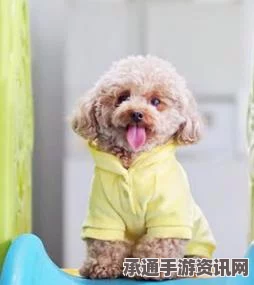 泰国王室爱犬离世，纪念电影映出深情，了解宠物纪念的别样方式