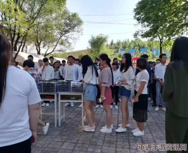 赴法国野鸡商学院，文凭追求与打工之路的博弈（附图详解）