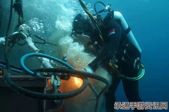 深海喂养，特色内容与技巧方法详解