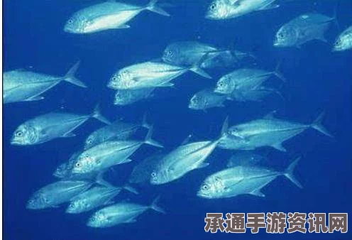 深海养殖秘籍，特色内容与方法技巧全面解析