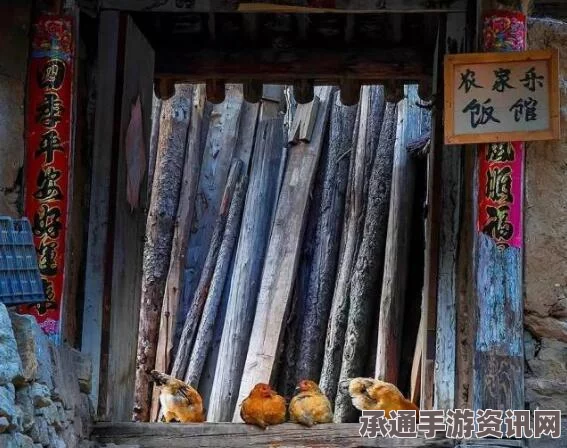 桃源深处有人家主屋家具全解析与室内家具图鉴介绍