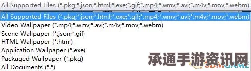 Wallpaper Engine破解版全面教程，使用指南与技巧分享