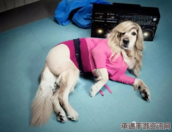 职业模特狗狗COS英国女王，时尚与智慧的完美结合