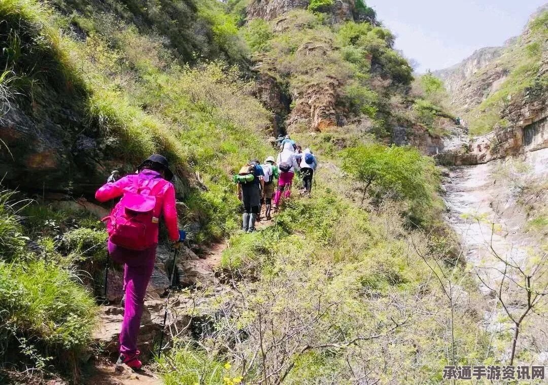 日本知名登山家谷口桂香爬山时坠谷身亡，年仅43岁—悲剧背后的启示与技巧方法探讨