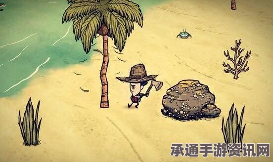 饥荒海滩新手生存指南，全攻略详解与技巧方法汇总