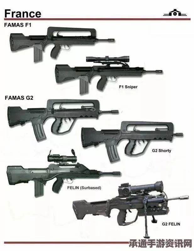 小兵步枪全武器图鉴及实战技巧详解