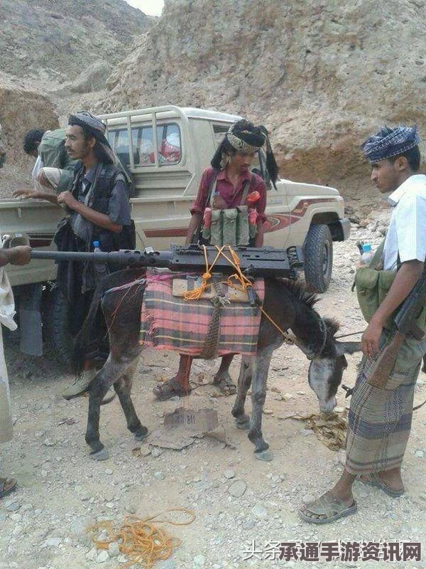 也门民兵武器革新，毛驴装备化与融合现代战术的实战技巧探索