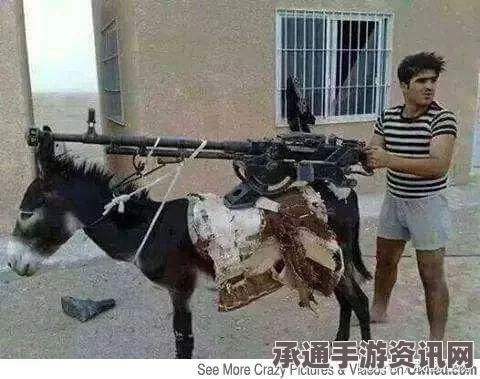 也门民兵新武器，毛驴装备化与现代战术融合的技巧方法