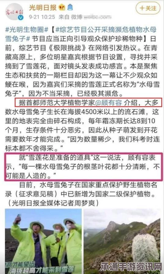 环球小姐阿雷巴洛意外走红，应对误颁与道德挑战的技巧方法