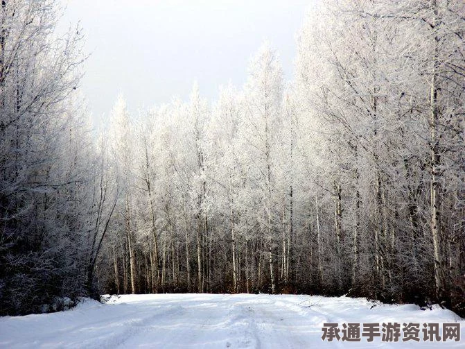 美国东部圣诞平安夜气温破纪录，冬日如夏如何营造节日氛围？