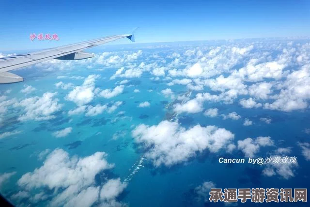 美国东部多地圣诞平安夜气温破纪录，居民体验夏日风情，如何享受节日气氛？