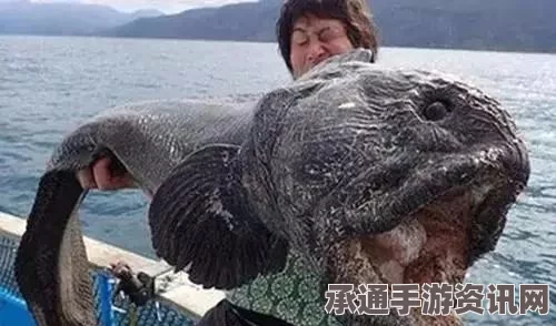 泰国残躯生存怪鱼现象揭秘，探寻生存极限与动物福利保护之道