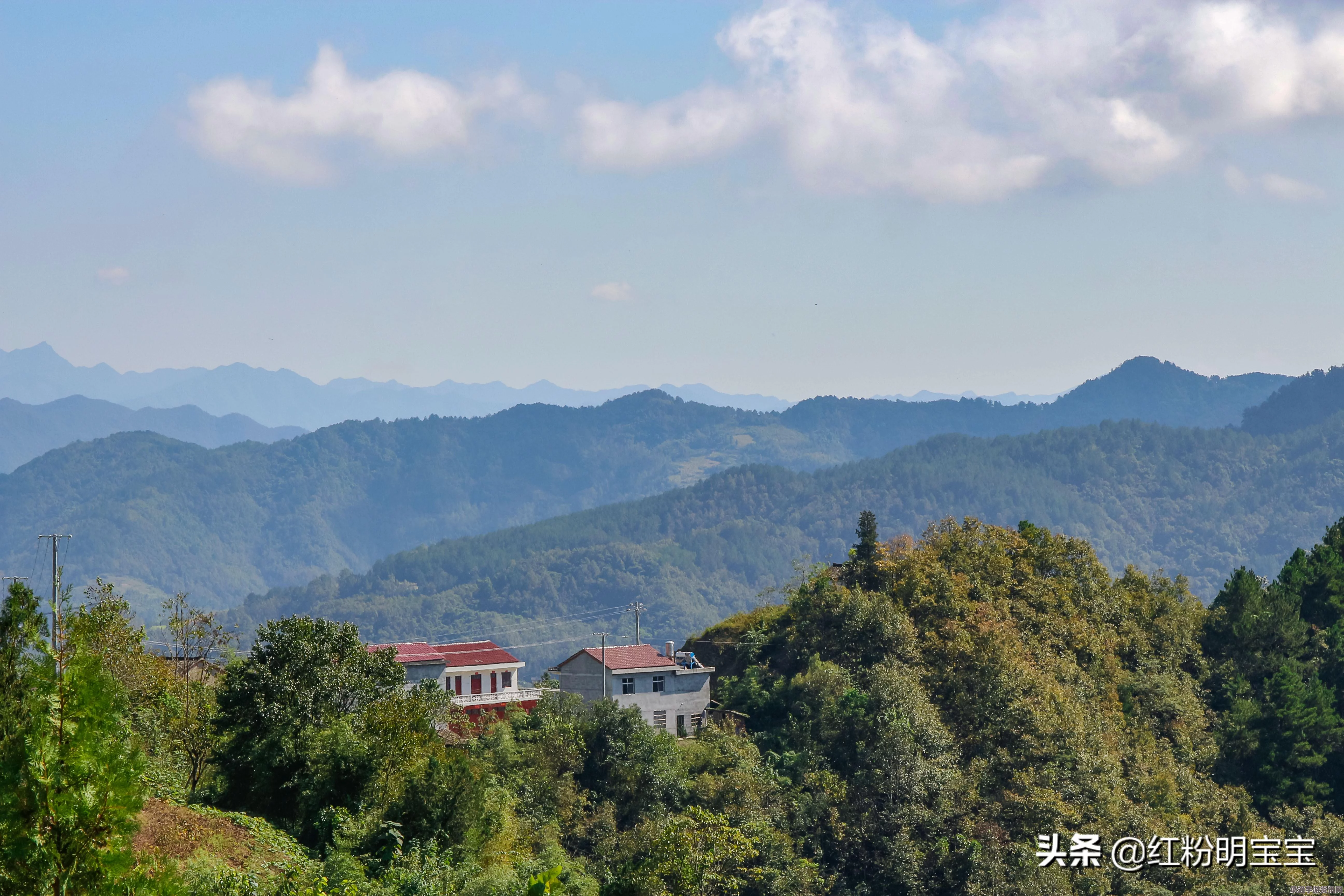 黑神话悟空中的菇男角色深度解析与技巧探讨