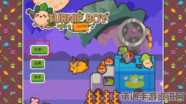 大头菜小子银行理财攻略，财不露白策略与技巧揭秘
