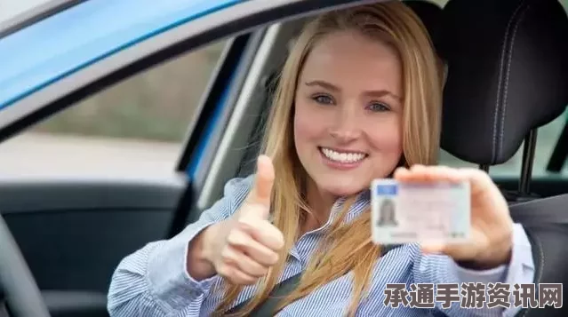 荷兰议会决议学车可肉偿，驾校教练申请量暴增—深度解析与应对技巧方法